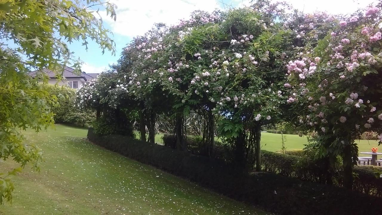 Shurinji Whanganui Ngoại thất bức ảnh